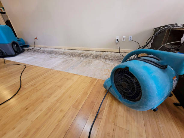 Professional Basement Flood Cleanup technician working in Waterford Works, NJ
